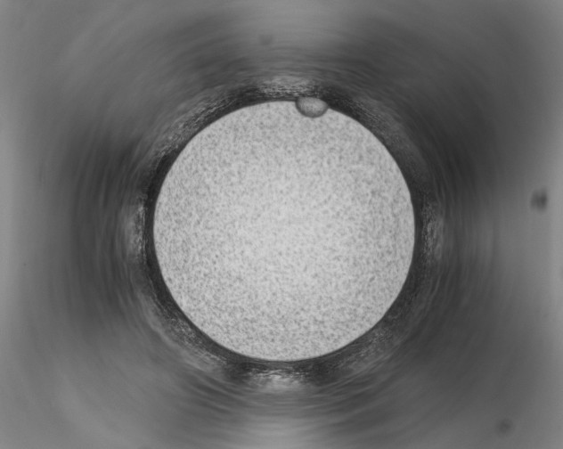 X0000115000498200912071143