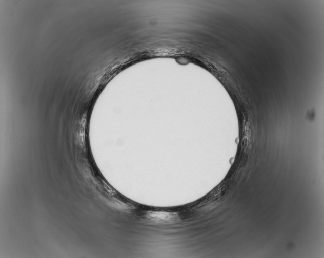 X0000115000499200912071143