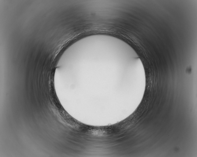 X0000115000500200912071143