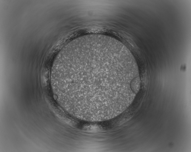 X0000115000503200912071143