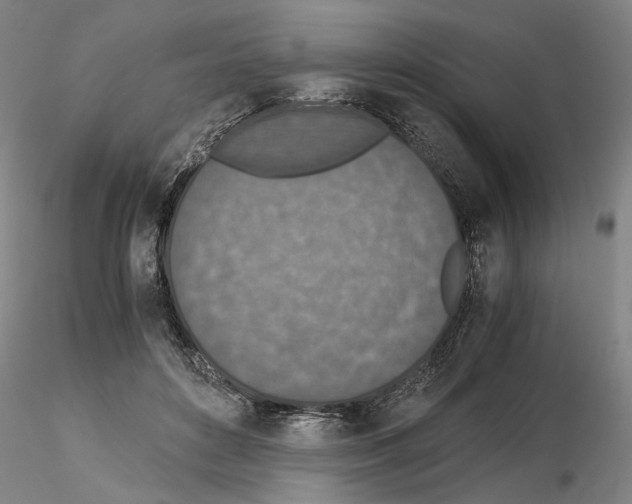 X0000115000504200912071143