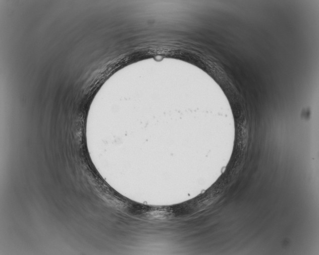 X0000115000505200912071143