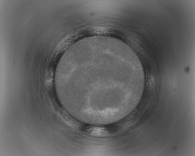 X0000115000507200912071143