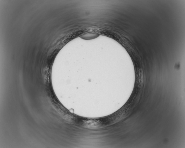 X0000115000511200912071143