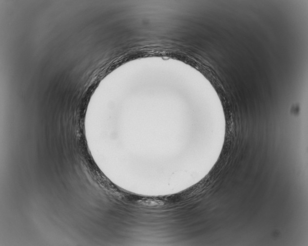 X0000115000512200912071143