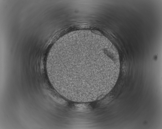 X0000115000516200912071143