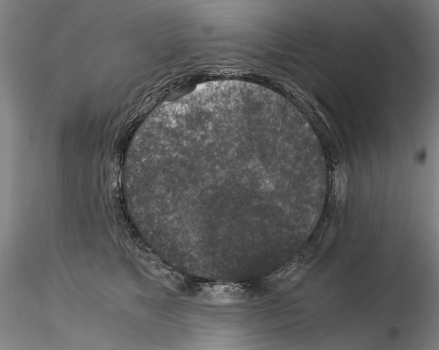 X0000115000517200912071143