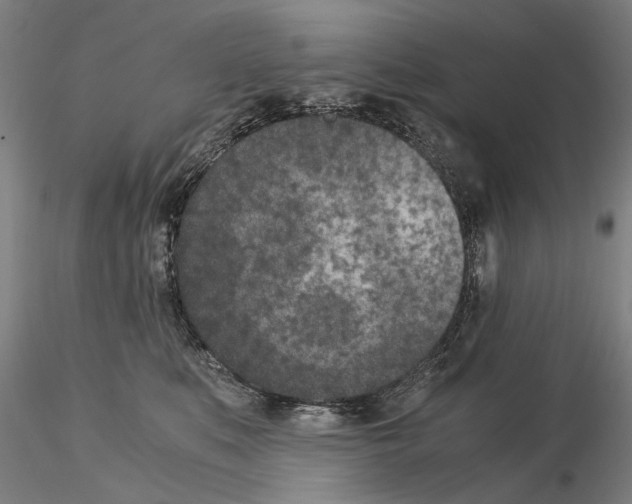 X0000115000519200912071143