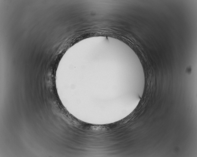 X0000115000520200912071143