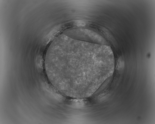 X0000115000524200912071143