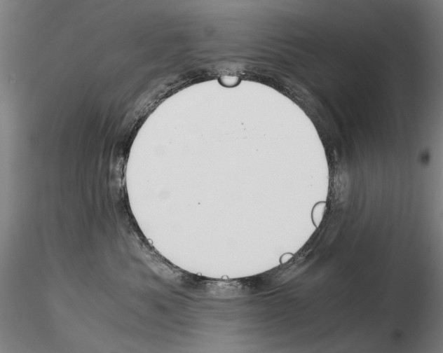 X0000115000525200912071143