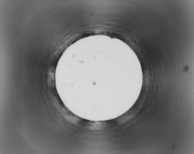 X0000115000527200912071143