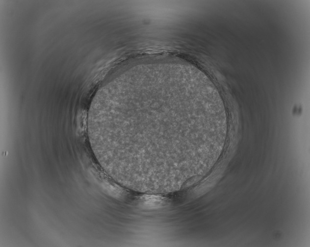 X0000115000528200912071143