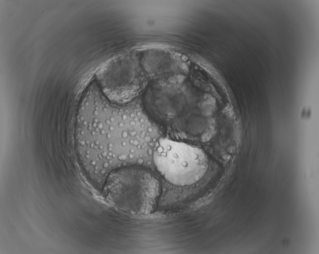 X0000115000529200912071142