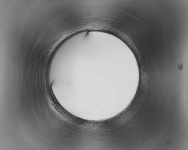 X0000115000530200912071142