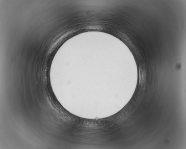 X0000115000531200912071142