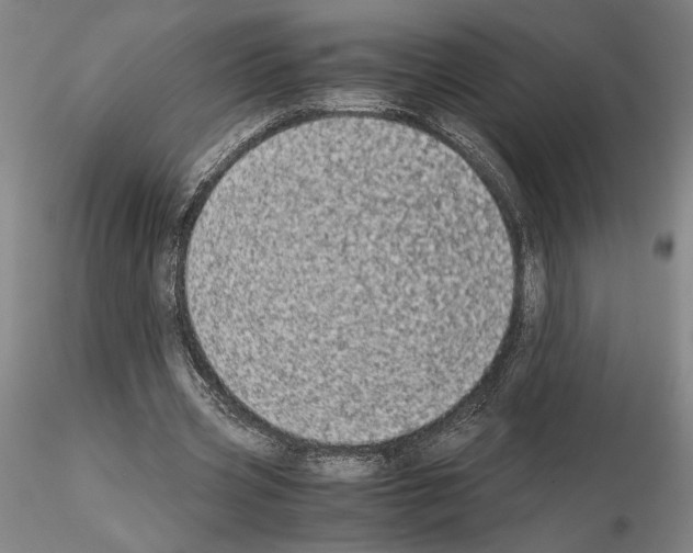 X0000115000533200912071142