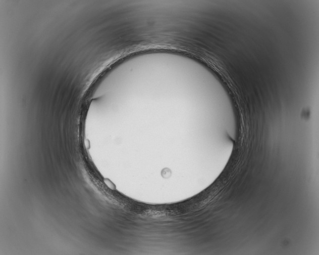 X0000115000534200912071142