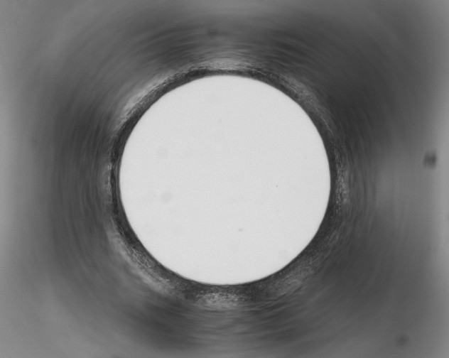 X0000115000535200912071142