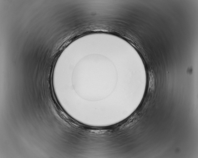 X0000115000538200912071142