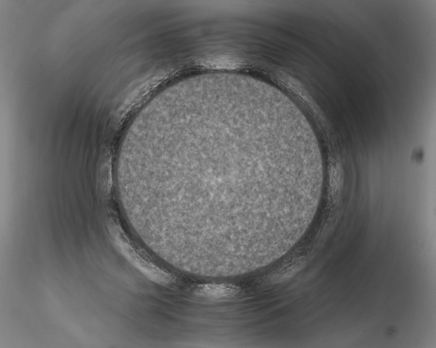 X0000115000541200912071142