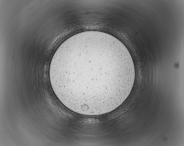 X0000115000543200912071142