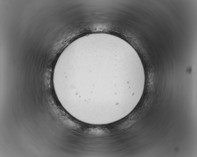 X0000115000545200912071142