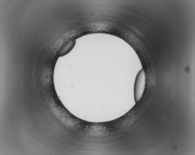 X0000115000546200912071142