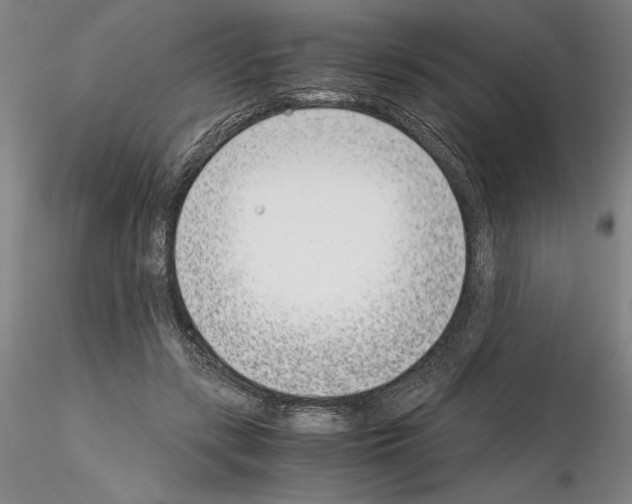 X0000115000547200912071142