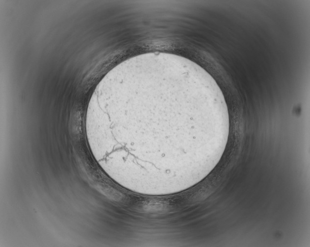 X0000115000549200912071142