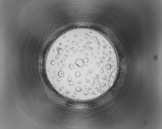 X0000115000550200912071142