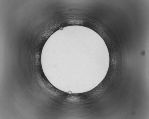 X0000115000551200912071142