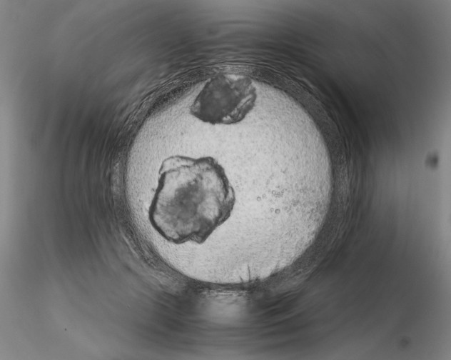 X0000115000553200912071142