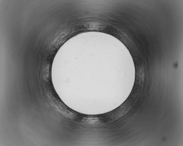 X0000115000554200912071142