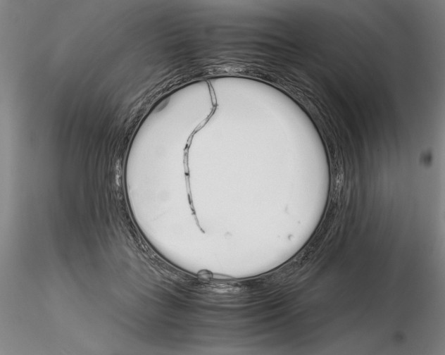 X0000115000555200912071142