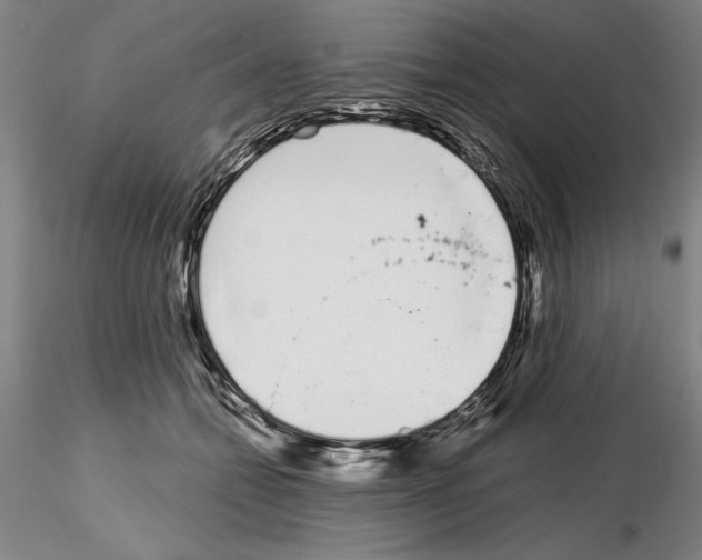 X0000115000558200912071142