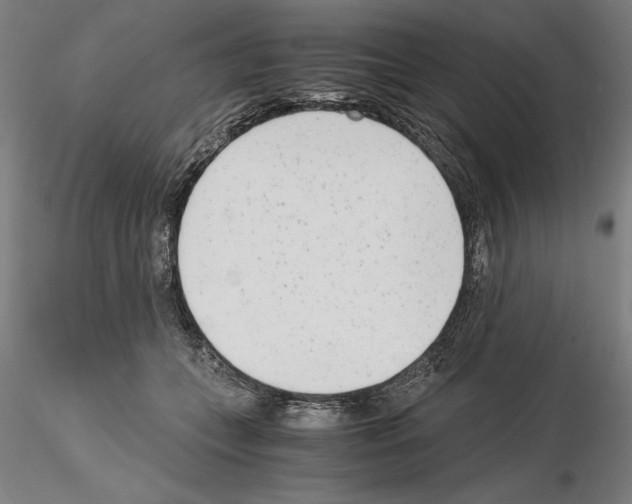 X0000115000559200912071142