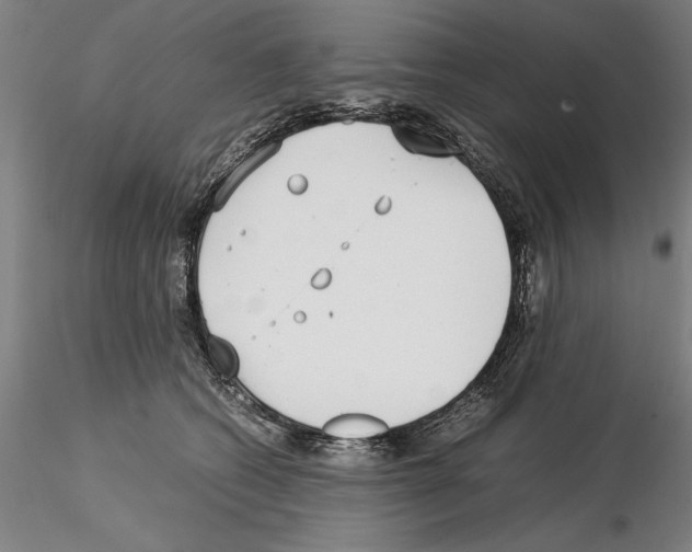 X0000115000562200912071142