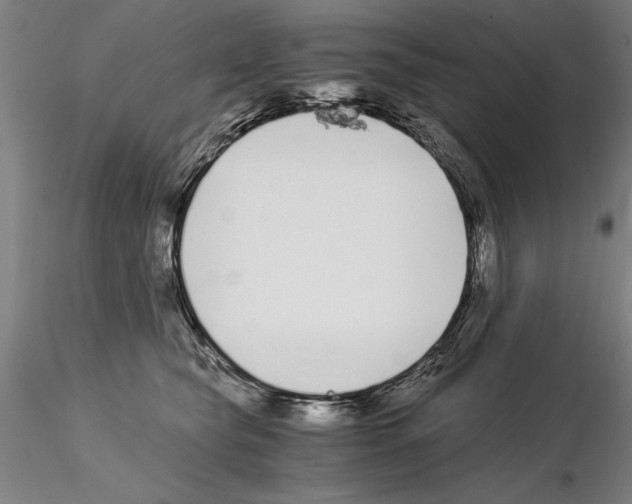 X0000115000565200912071142