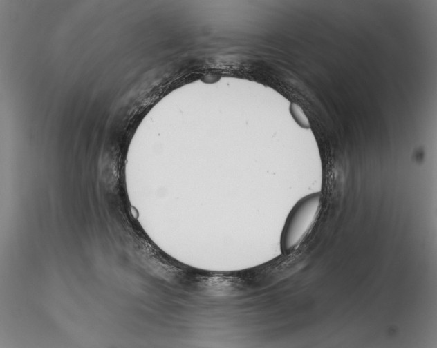 X0000115000566200912071142