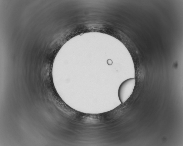 X0000115000567200912071142