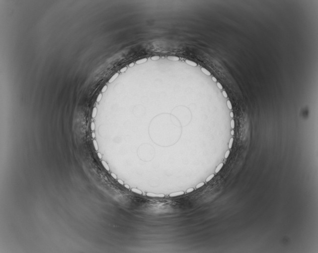 X0000115000569200912071142