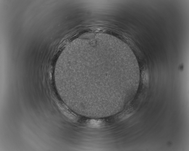 X0000115000570200912071142