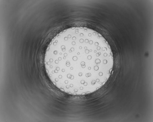 X0000115000571200912071142