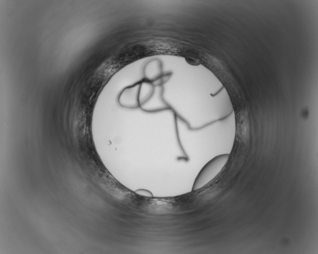 X0000115000573200912071143