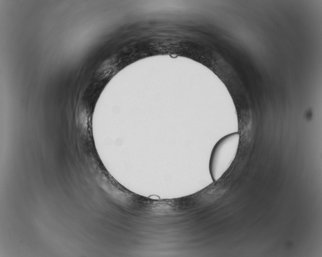 X0000115000574200912071143