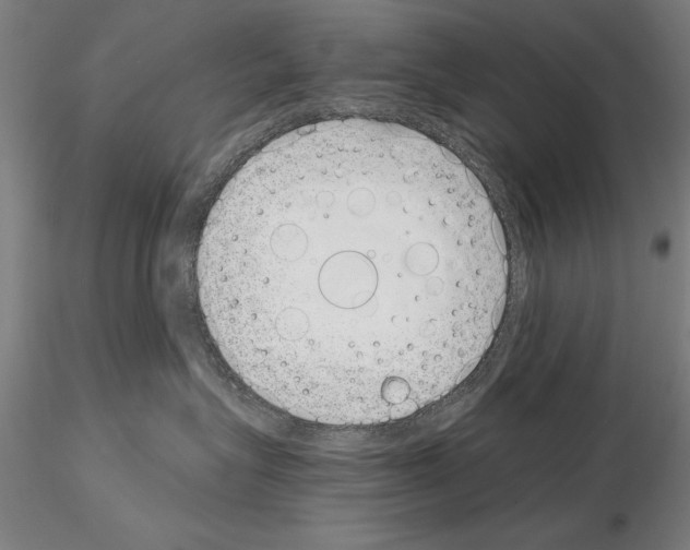 X0000115000575200912071143