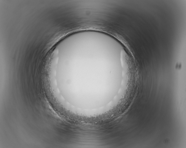 X0000115000577200912071142