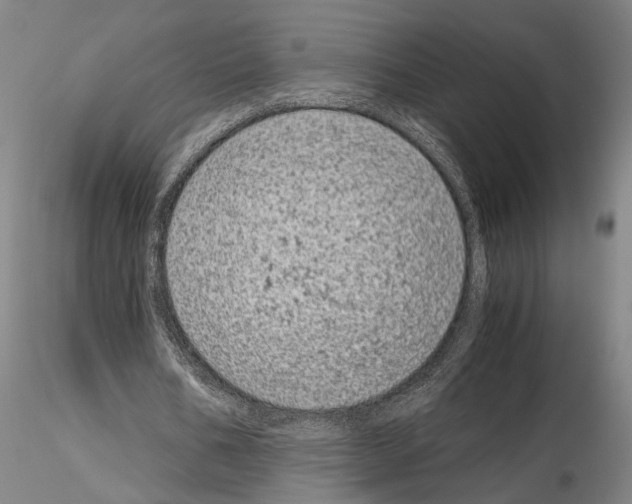 X0000115000578200912071142