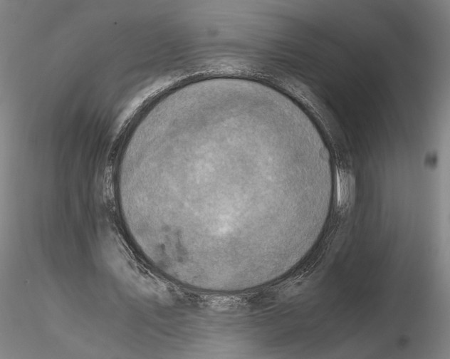 X0000115000579200912071142